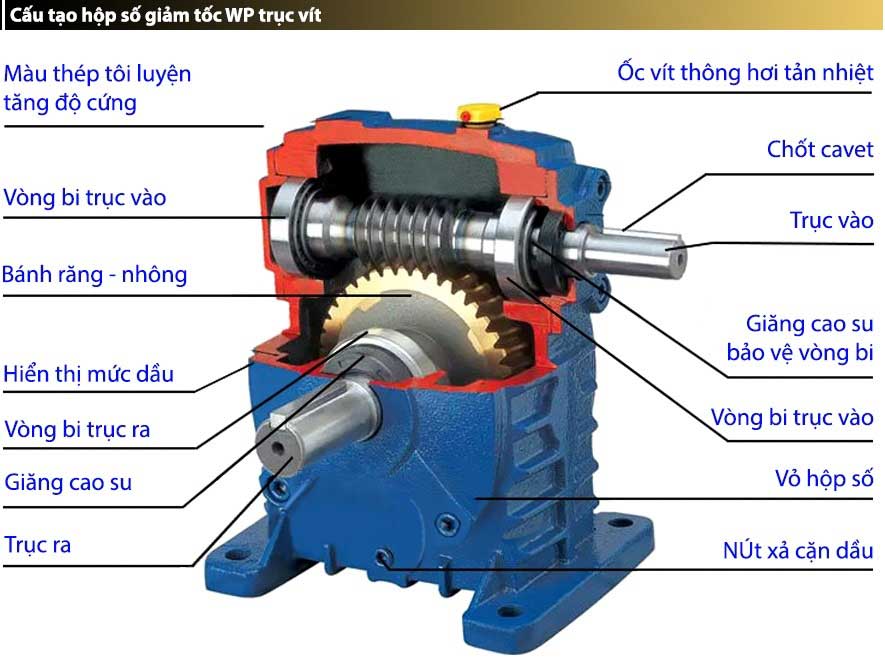 cau-tao-hop-giam-toc-wps