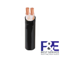 Dây cáp điện 2 lõi Cadivi CXV-2×4 mm2 – 0.6/1kV