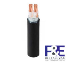 Dây cáp điện Cadivi CXV/DSTA-2×6 mm2 – 0.6/1kV