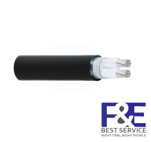 Dây cáp điện Cadivi AXV/DSTA-2×185 mm2 – 0.6/1kV