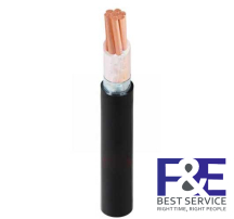 Dây cáp điện Cadivi CXV/DATA-95 mm2 &#8211; 0.6/1kV