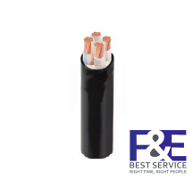 Dây cáp điện Cadivi CXV-3&#215;35+1&#215;16 mm2 &#8211; 0.6/1kV