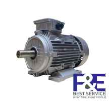 Motor điện MS-63M-4-B3 0.18kW 3 Pha