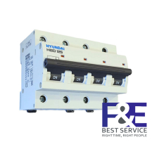 MCB Hyundai HGD125 4P 80A 10kA