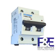 MCB Hyundai HGD125 2P 125A 10kA