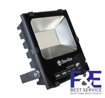 Đèn Pha LED Rạng Đông CP06 100W