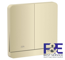 Công tắc đôi 2 cực 20A Schneider E8332D20N_WG_G19