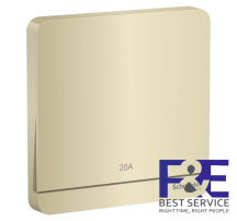 Công tắc đơn 2 cực 20A Schneider E8331D20N_WG_G19