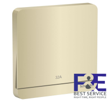 Công tắc đơn 2 cực 32A Schneider E8331D32N_WG_G19
