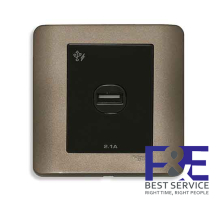 Ổ sạc USB đơn 2.1A Schneider E8431USB_SZ_G19