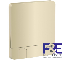 Mặt cho 1 công tắc Schneider E8331KH_WG_G19