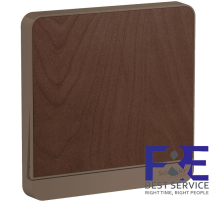 Mặt cho 1 công tắc Schneider E8331_WD_G19