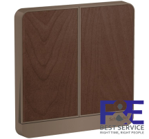 Mặt cho 2 công tắc Schneider E8332_WD_G19