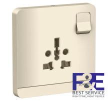 Ổ cắm đơn đa năng 16A Schneider E8315TS_WG_G19