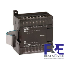 Module digital Omron CP1W-20EDR1
