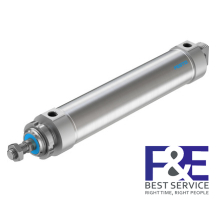 Xy lanh Festo&#160;DSNU-63-250-PPS-A