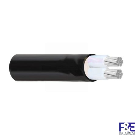 Dây cáp điện 2 lõi Cadivi AXV-2×95 mm2 – 0.6/1kV