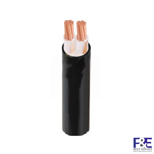 Dây cáp điện 2 lõi Cadivi CXV-2&#215;50 mm2 &#8211; 0.6/1kV
