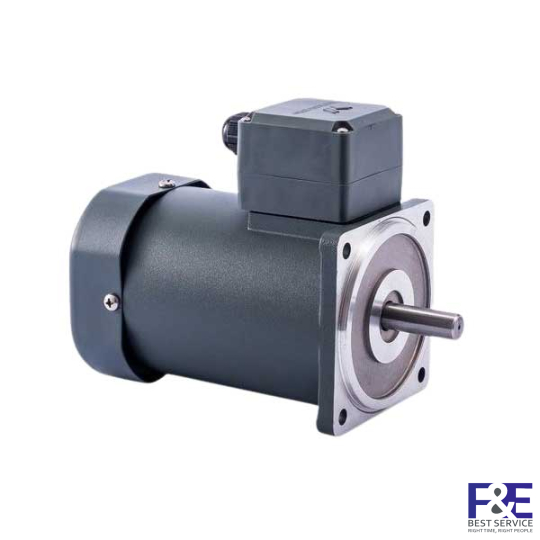 Động cơ điện 70YS-15W-DV22 15W 1 Pha 220V