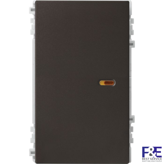 Công Tắc 2 Chiều, Size L Schneider 8431L_2_BZ_G19