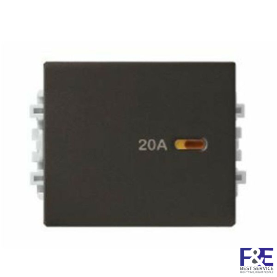 Công Tắc 2 Cực Size M Schneider 8431MD20_BZ_G19