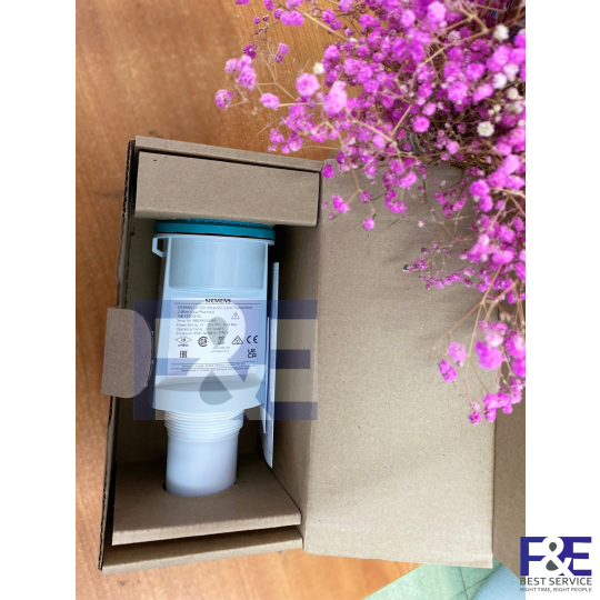Level monitor 7ML1201-1EF00