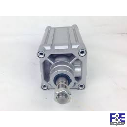 Xy Lanh Festo DNC-100-80-PPV-A