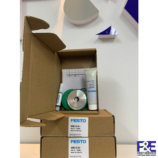 Gioăng cao su Festo DSBC/G-50 753090 